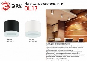 Накладной светильник Эра OL17 GX53 BK Б0049028 в Стрежевом - strezevoi.ok-mebel.com | фото 3