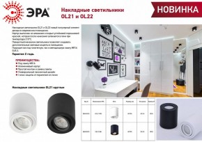 Накладной светильник Эра OL21 WH Б0054392 в Стрежевом - strezevoi.ok-mebel.com | фото 2