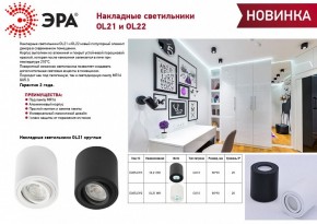 Накладной светильник Эра OL22 BK Б0054395 в Стрежевом - strezevoi.ok-mebel.com | фото 3