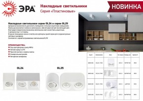 Накладной светильник Эра OL24-1 WH Б0054381 в Стрежевом - strezevoi.ok-mebel.com | фото 2