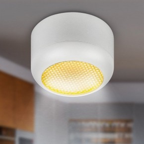 Накладной светильник Эра  OL56 WH в Стрежевом - strezevoi.ok-mebel.com | фото 8