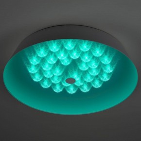 Накладной светильник Эра  SPB-6-60-RC Locus RGB в Стрежевом - strezevoi.ok-mebel.com | фото 8