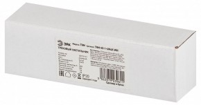 Накладной светильник Эра  TRM-S5-1-6W4K-WH в Стрежевом - strezevoi.ok-mebel.com | фото 6