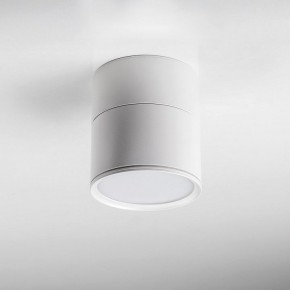 Накладной светильник Lightstar Acuto 215886 в Стрежевом - strezevoi.ok-mebel.com | фото 3