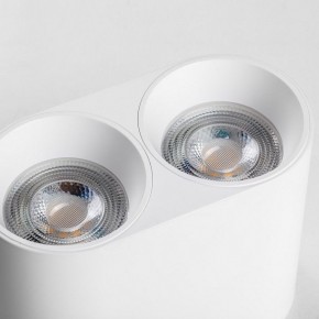 Накладной светильник Lightstar Rullo 213466 в Стрежевом - strezevoi.ok-mebel.com | фото 6