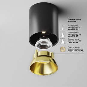 Накладной светильник Maytoni Alfa LED C064CL-12W4K-RD-B в Стрежевом - strezevoi.ok-mebel.com | фото 3