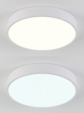 Накладной светильник Natali Kovaltseva  LED LAMPS 81111/5C в Стрежевом - strezevoi.ok-mebel.com | фото 4