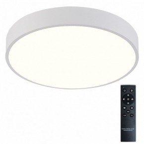 Накладной светильник Natali Kovaltseva  LED LAMPS 81112/5C в Стрежевом - strezevoi.ok-mebel.com | фото 2