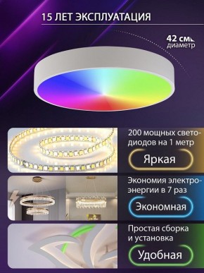 Накладной светильник Natali Kovaltseva MODERN LED LAMPS 81105/1C в Стрежевом - strezevoi.ok-mebel.com | фото 6