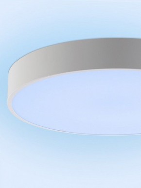 Накладной светильник Natali Kovaltseva MODERN LED LAMPS 81105/2C в Стрежевом - strezevoi.ok-mebel.com | фото 12