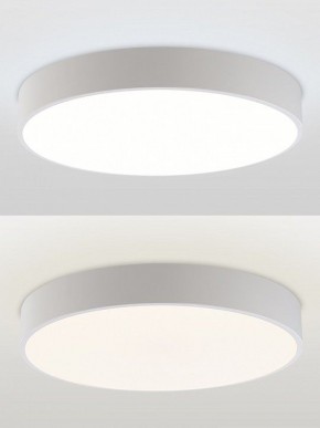 Накладной светильник Natali Kovaltseva MODERN LED LAMPS 81105/2C в Стрежевом - strezevoi.ok-mebel.com | фото 4