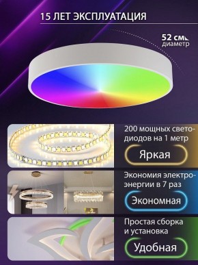 Накладной светильник Natali Kovaltseva MODERN LED LAMPS 81105/2C в Стрежевом - strezevoi.ok-mebel.com | фото 6