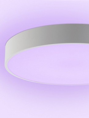 Накладной светильник Natali Kovaltseva MODERN LED LAMPS 81105/2C в Стрежевом - strezevoi.ok-mebel.com | фото 9