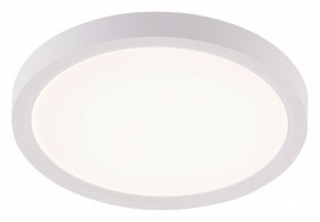 Накладной светильник Natali Kovaltseva PLAIN LED LAMPS 81113/1C в Стрежевом - strezevoi.ok-mebel.com | фото