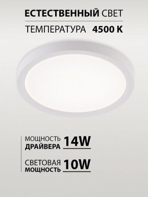 Накладной светильник Natali Kovaltseva PLAIN LED LAMPS 81113/1C в Стрежевом - strezevoi.ok-mebel.com | фото 4