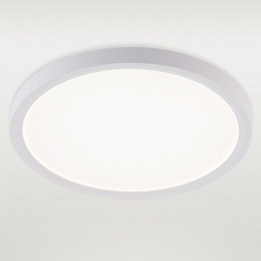 Накладной светильник Natali Kovaltseva PLAIN LED LAMPS 81113/2C в Стрежевом - strezevoi.ok-mebel.com | фото 2