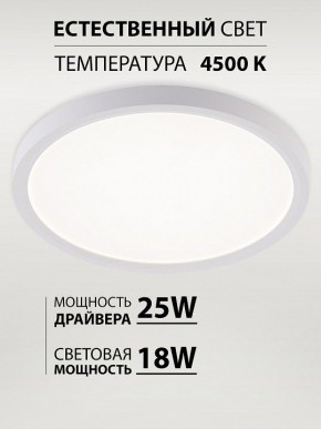 Накладной светильник Natali Kovaltseva PLAIN LED LAMPS 81113/2C в Стрежевом - strezevoi.ok-mebel.com | фото 3