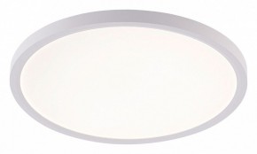 Накладной светильник Natali Kovaltseva PLAIN LED LAMPS 81113/3C в Стрежевом - strezevoi.ok-mebel.com | фото