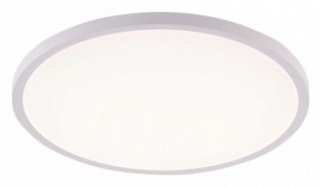 Накладной светильник Natali Kovaltseva PLAIN LED LAMPS 81113/5C в Стрежевом - strezevoi.ok-mebel.com | фото