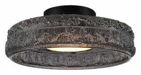 Накладной светильник ST-Luce ANTIKE SL6143.412.01 в Стрежевом - strezevoi.ok-mebel.com | фото 2
