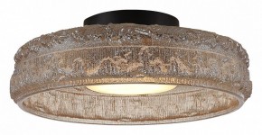 Накладной светильник ST-Luce ANTIKE SL6143.422.01 в Стрежевом - strezevoi.ok-mebel.com | фото 3