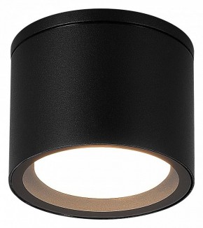 Накладной светильник ST-Luce Tubo SL9006.402.01 в Стрежевом - strezevoi.ok-mebel.com | фото 2