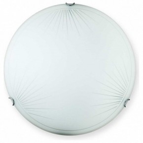 Накладной светильник TopLight Wifa TL9142Y-00WH в Стрежевом - strezevoi.ok-mebel.com | фото