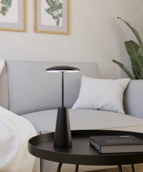 Настольная лампа декоративная Eglo PICCOLA 900925 в Стрежевом - strezevoi.ok-mebel.com | фото 4