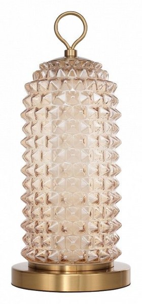 Настольная лампа декоративная ST-Luce SAGUARO SL6144.304.01 в Стрежевом - strezevoi.ok-mebel.com | фото