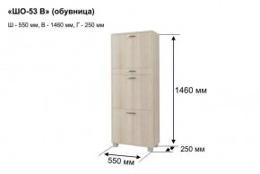 ШО-53 В тумба для обуви в Стрежевом - strezevoi.ok-mebel.com | фото 8
