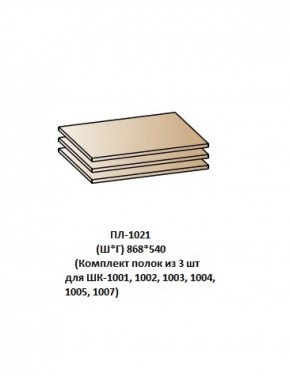 ПЛ-1021 (Комплект полок из 3 шт для ШК-1001, 1002, 1003, 1004, 1005, 1007) в Стрежевом - strezevoi.ok-mebel.com | фото