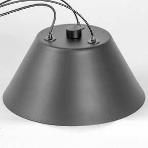 Подвесная люстра Lussole Hopkins LSP-7408 в Стрежевом - strezevoi.ok-mebel.com | фото 7