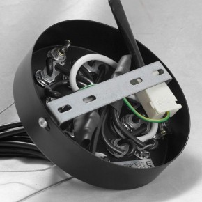 Подвесная люстра Lussole Seneca GRLSP-8177 в Стрежевом - strezevoi.ok-mebel.com | фото 10