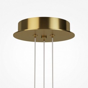 Подвесная люстра Maytoni Arana MOD401PL-L108BS3K в Стрежевом - strezevoi.ok-mebel.com | фото 7