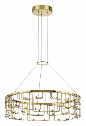 Подвесная люстра Odeon Light ZAHA 7060/44L в Стрежевом - strezevoi.ok-mebel.com | фото 2