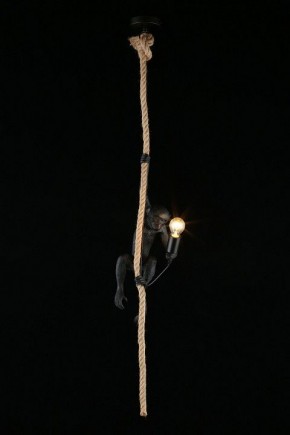 Подвесной светильник Aployt Magali APL.309.16.01 в Стрежевом - strezevoi.ok-mebel.com | фото 3