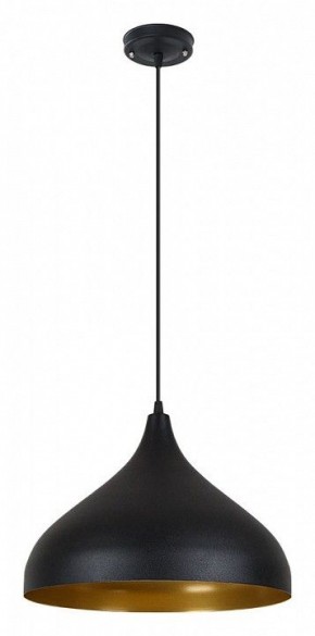 Подвесной светильник Arte Lamp Carmel A7076SP-1BK в Стрежевом - strezevoi.ok-mebel.com | фото 2