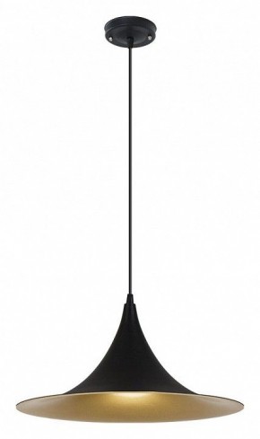 Подвесной светильник Arte Lamp Carmel A7080SP-1BK в Стрежевом - strezevoi.ok-mebel.com | фото 2