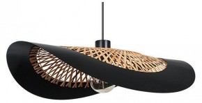 Подвесной светильник Arte Lamp Woodstock A7059SP-1BK в Стрежевом - strezevoi.ok-mebel.com | фото