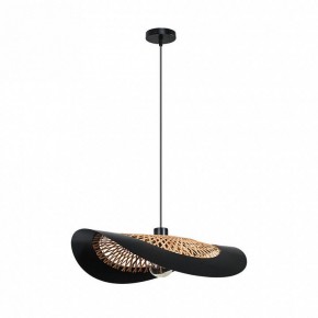 Подвесной светильник Arte Lamp Woodstock A7059SP-1BK в Стрежевом - strezevoi.ok-mebel.com | фото 2