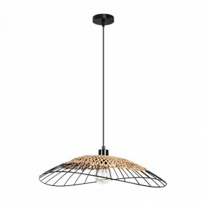 Подвесной светильник Arte Lamp Woodstock A7061SP-1BK в Стрежевом - strezevoi.ok-mebel.com | фото 2