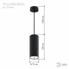 Подвесной светильник Эра  PL12 GX53 BK/SL в Стрежевом - strezevoi.ok-mebel.com | фото 8