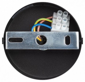 Подвесной светильник Эра  PL12 GX53 BK/SL в Стрежевом - strezevoi.ok-mebel.com | фото 9