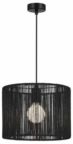 Подвесной светильник EVOLUCE ETTAN SLE6024-403-01 в Стрежевом - strezevoi.ok-mebel.com | фото 2