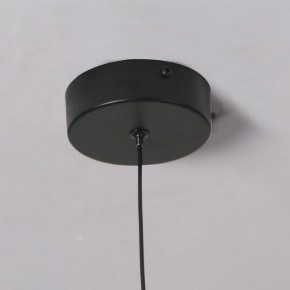 Подвесной светильник Favourite Wilet 4656-1P в Стрежевом - strezevoi.ok-mebel.com | фото 10