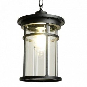 Подвесной светильник Feron PL765 51819 в Стрежевом - strezevoi.ok-mebel.com | фото 3
