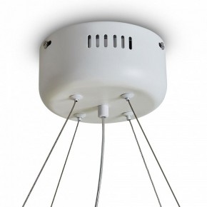 Подвесной светильник Freya Rain FR5546PL-L60W в Стрежевом - strezevoi.ok-mebel.com | фото 9
