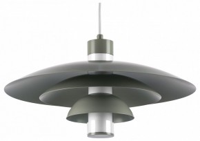 Подвесной светильник Lightstar Erbareo 799019 в Стрежевом - strezevoi.ok-mebel.com | фото