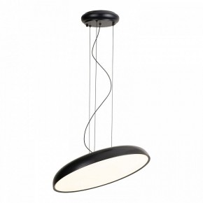 Подвесной светильник Lussole Crook LSP-7360 в Стрежевом - strezevoi.ok-mebel.com | фото 2