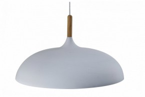 Подвесной светильник Moderli Hygo V11447-1P в Стрежевом - strezevoi.ok-mebel.com | фото